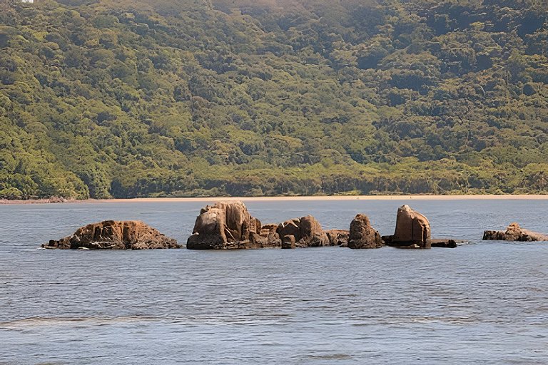 Apartamento pé na areia Praia dos Milionários.
